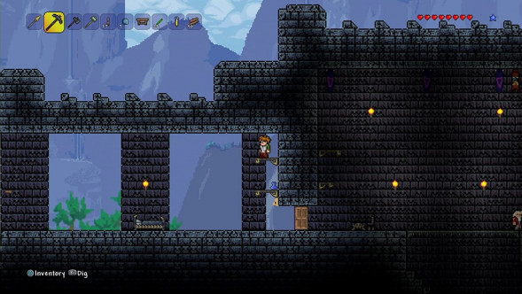 Игра Terraria [PS4, русские субтитры] в Иркутске