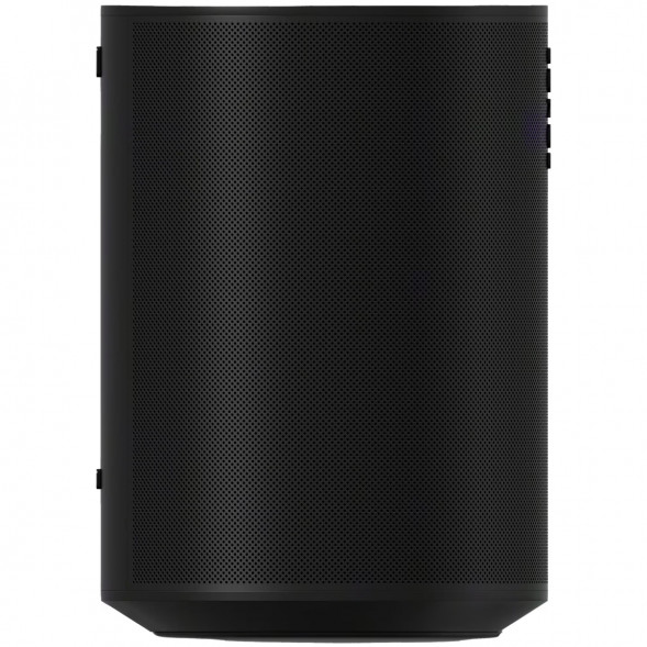 Умная колонка Sonos Era 100, черный в Иркутске