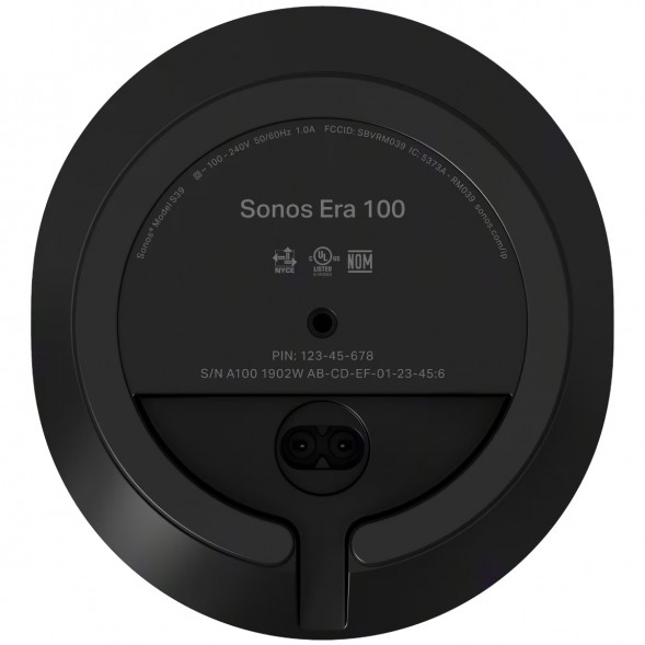 Умная колонка Sonos Era 100, черный в Иркутске