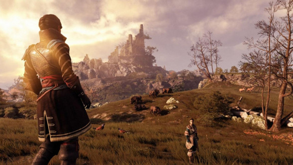 Игра GreedFall [PS4, русские субтитры] в Иркутске