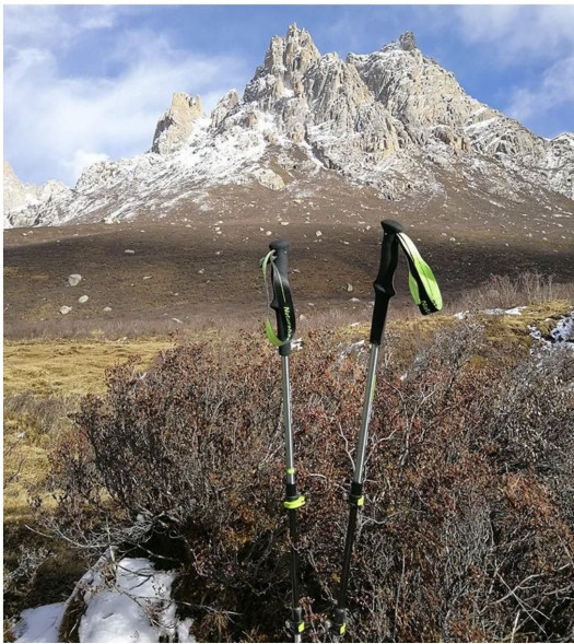 Треккинговая палка Naturehike 135 см, 1 шт., белый/красный в Иркутске