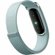 Фитнес-браслет Google Fitbit Air (Серо-голубой/Fog) в Иркутске