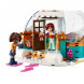 Конструктор LEGO Friends 41760 Праздничное приключение в иглу в Иркутске