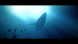 Игра Under The Waves [PS4, русские субтитры] в Иркутске